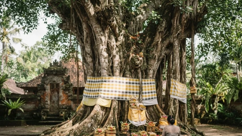 A sacred tree honored with traditional offerings in rural Indonesia